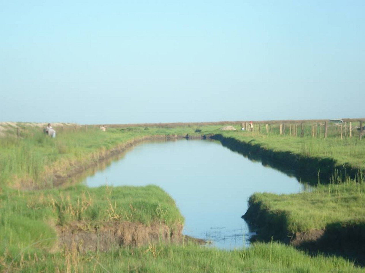 Campo en Venta - 2.500 Has