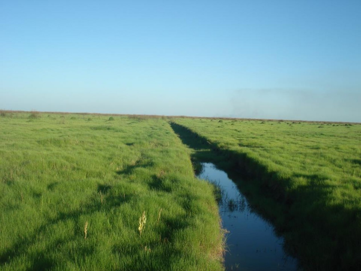 Campo en Venta - 2.500 Has