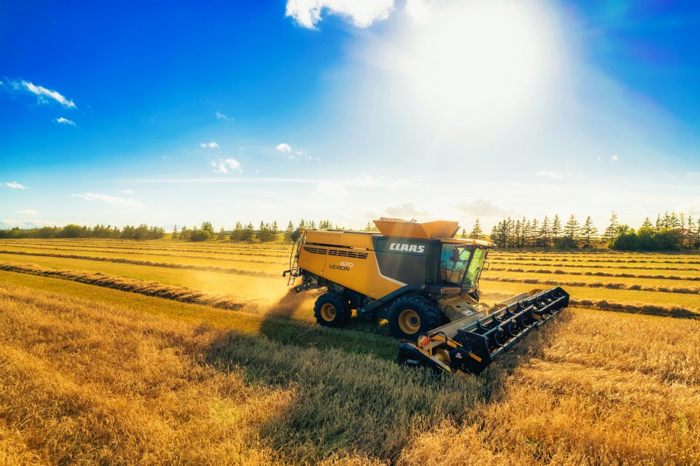 Explorando Oportunidades en el Mercado de Capitales en Argentina: Inversión en el Sector Agropecuario  al Alcance de Todos