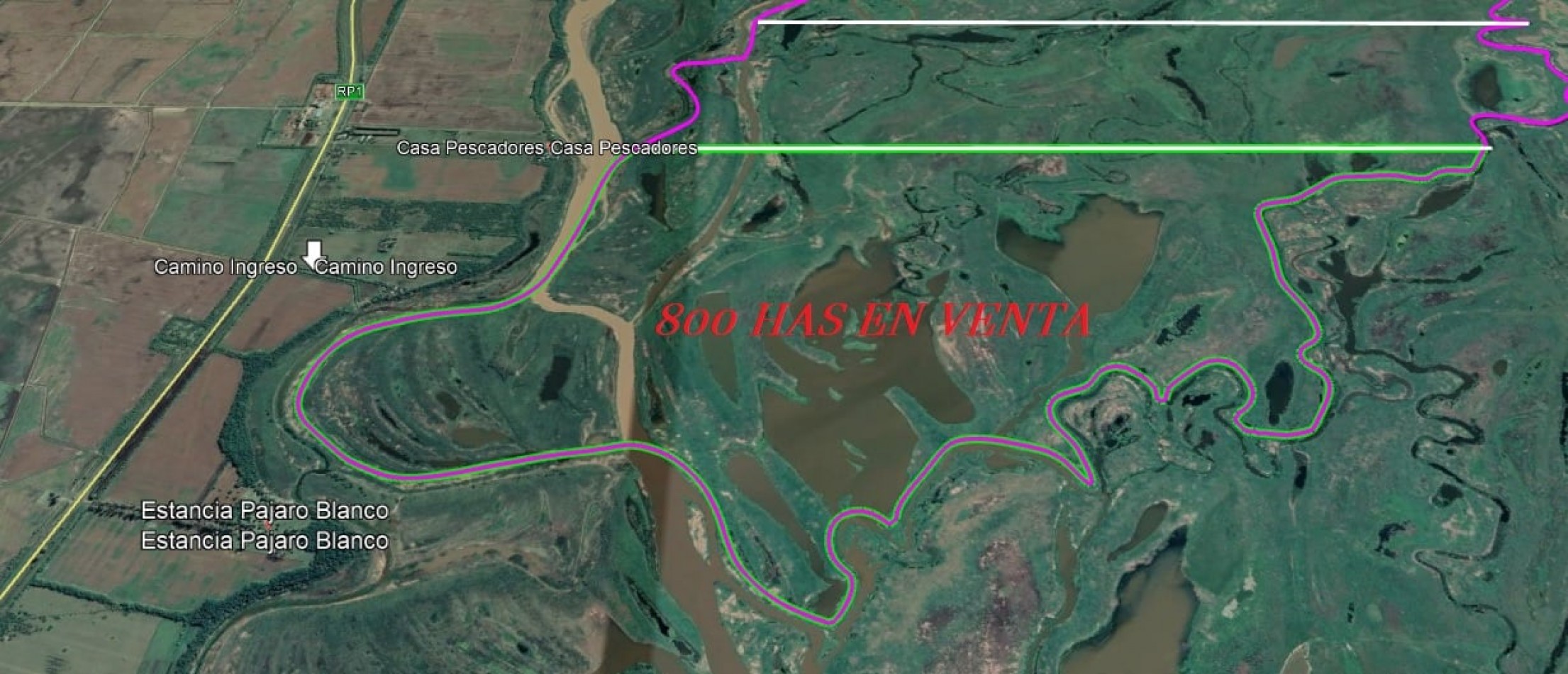 Campo en Venta: 800 hectareas ganaderas en Alejandra, Santa Fe.