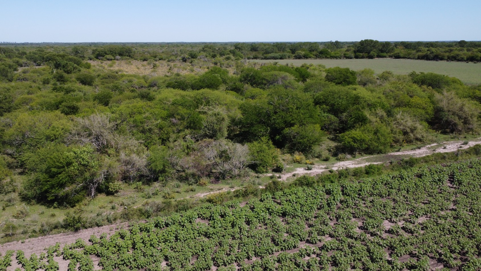 Campo en venta en Avellaneda, Santa Fe: 16,7 hectareas agricolas.