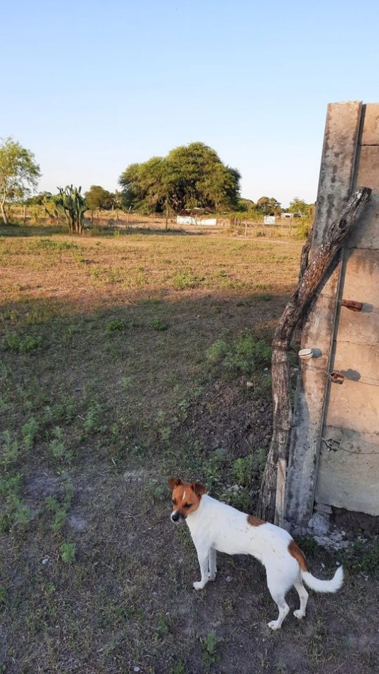 ¡Terreno en venta en Berna, Santa Fe: ¡Oportunidad unica para vivir rodeado de naturaleza!