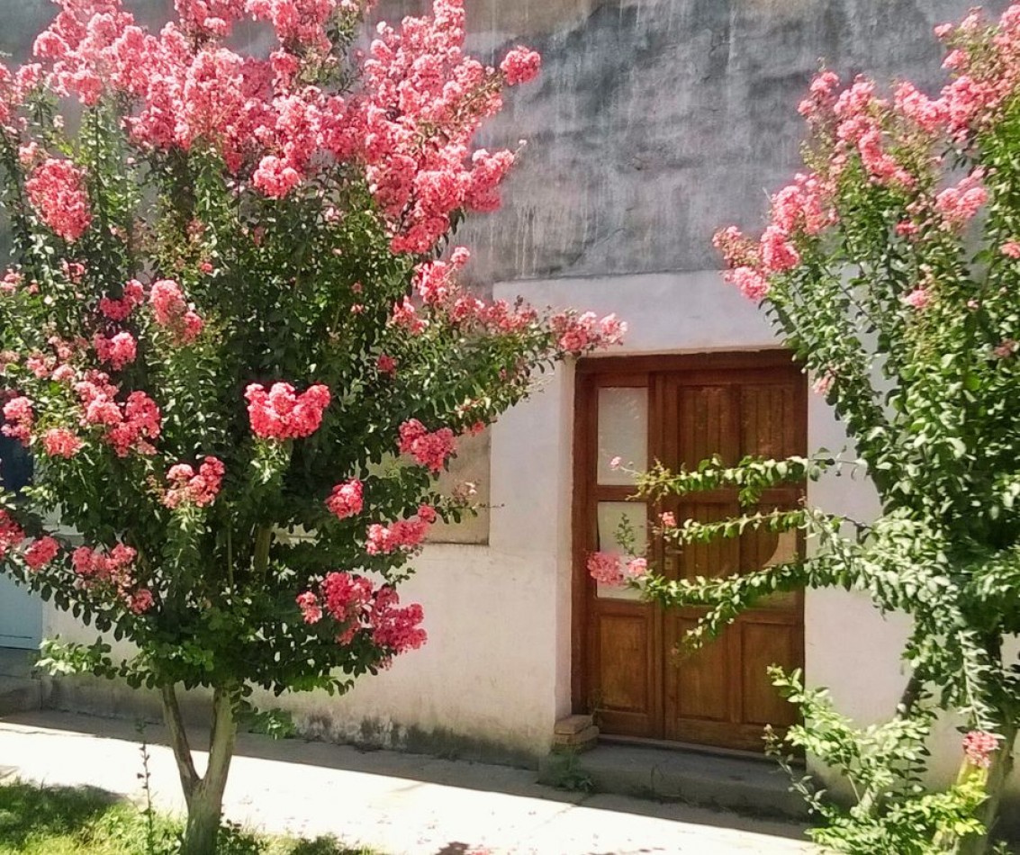 Venta: Panaderia con casa en Berna.