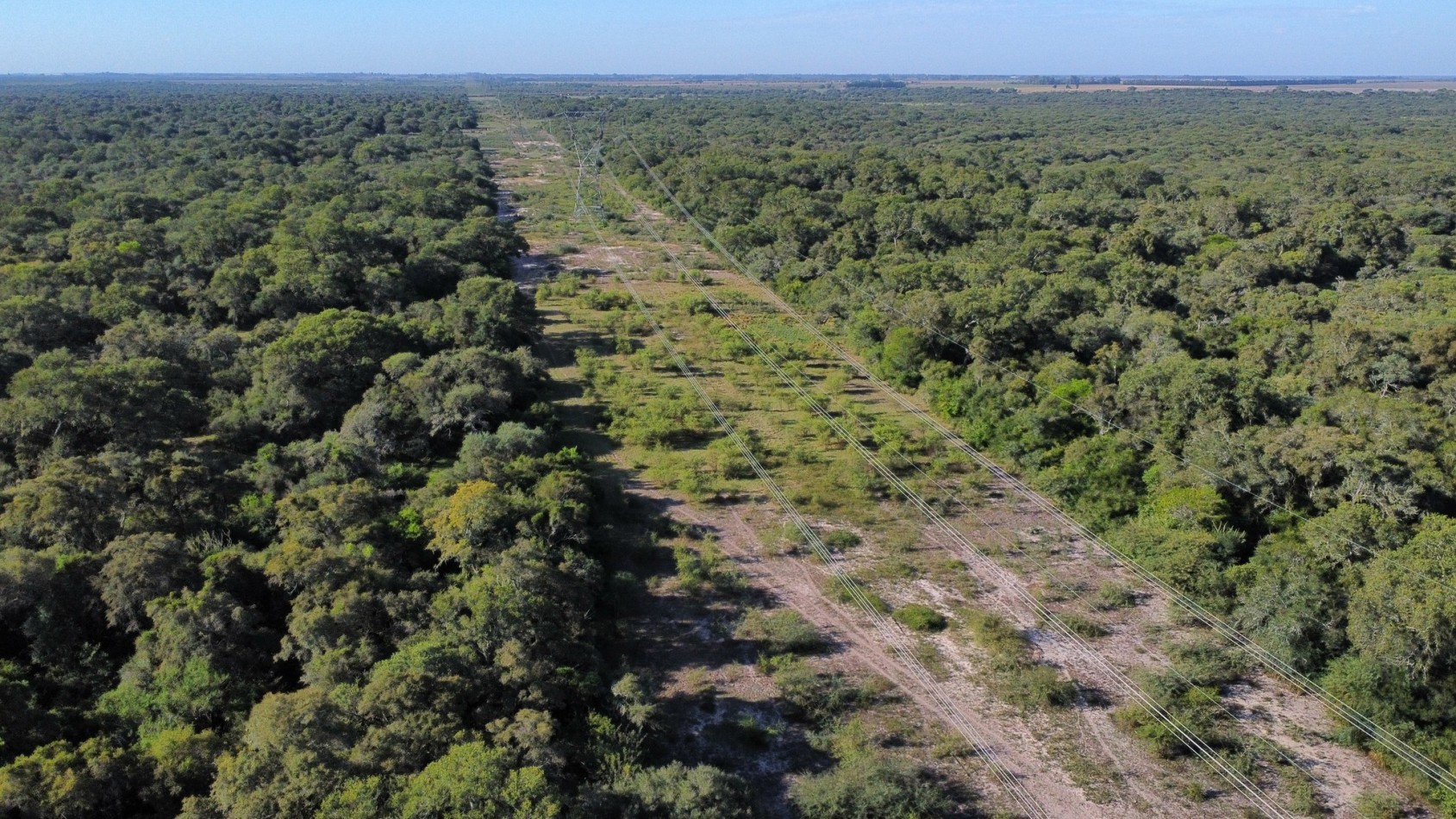 Campo en Venta - 130 Hectareas