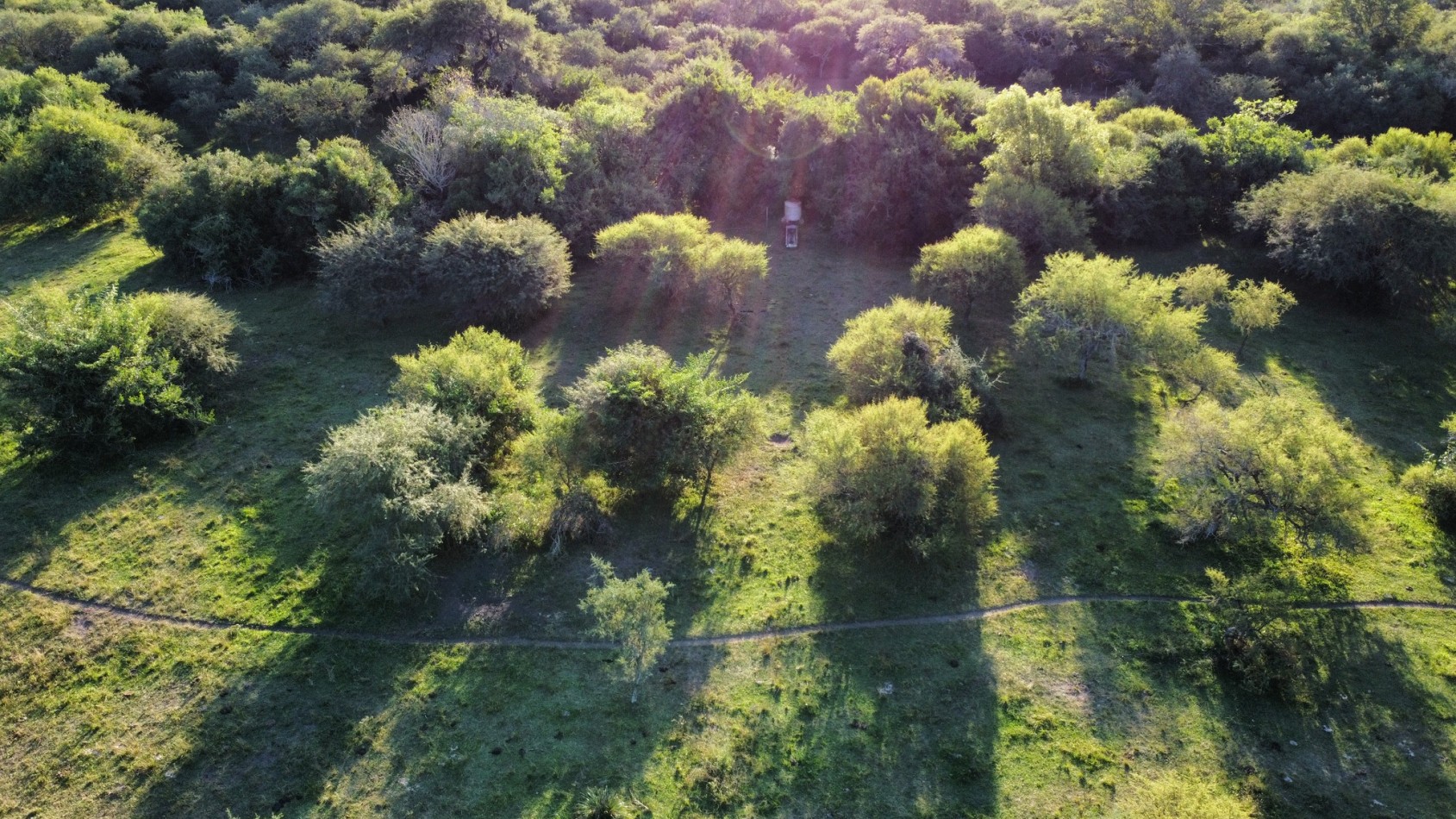 Campo en Venta - 130 Hectareas