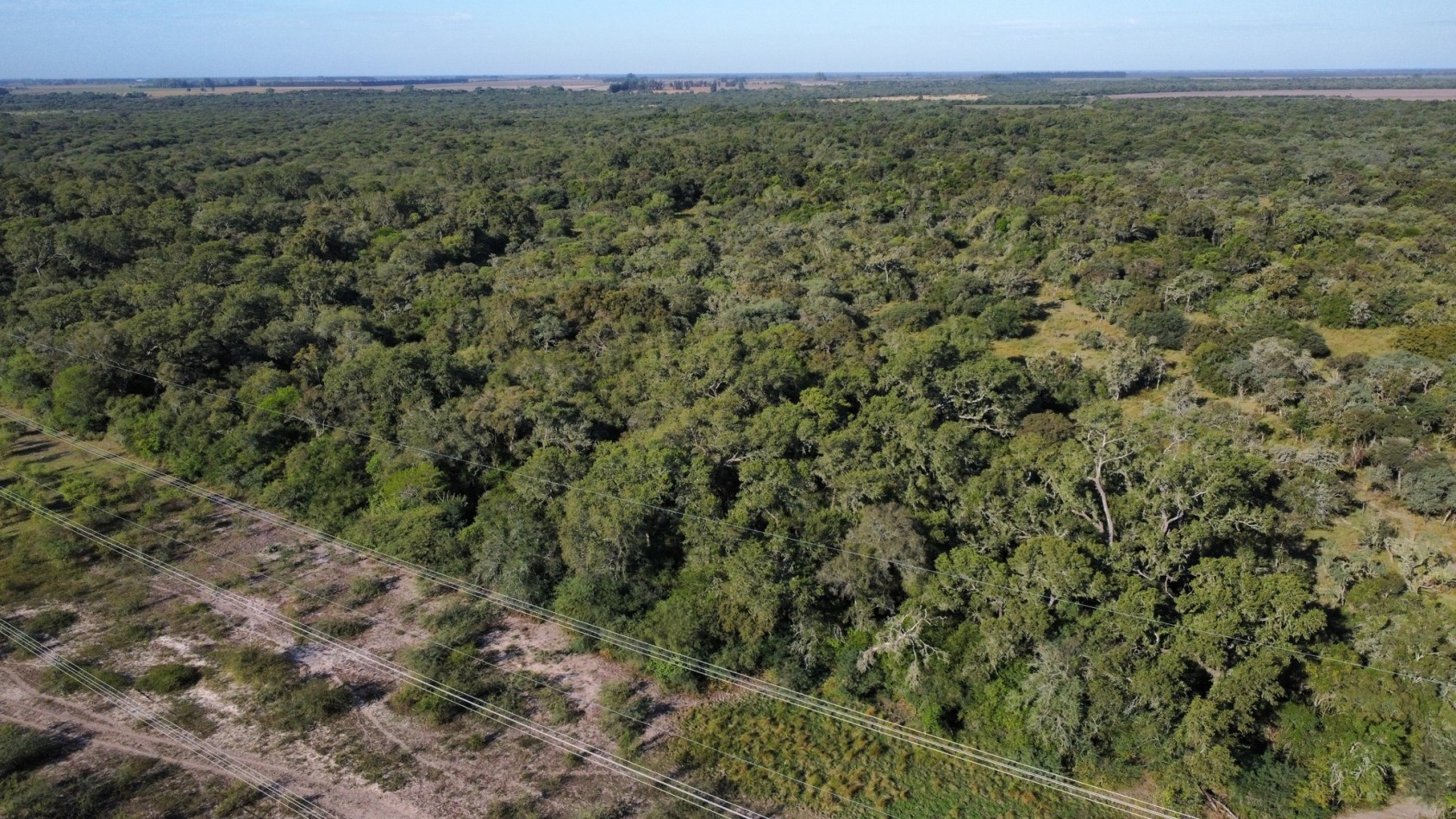 Campo en Venta - 130 Hectareas
