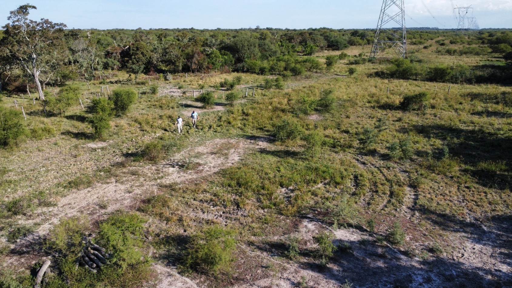 Campo en Venta - 130 Hectareas