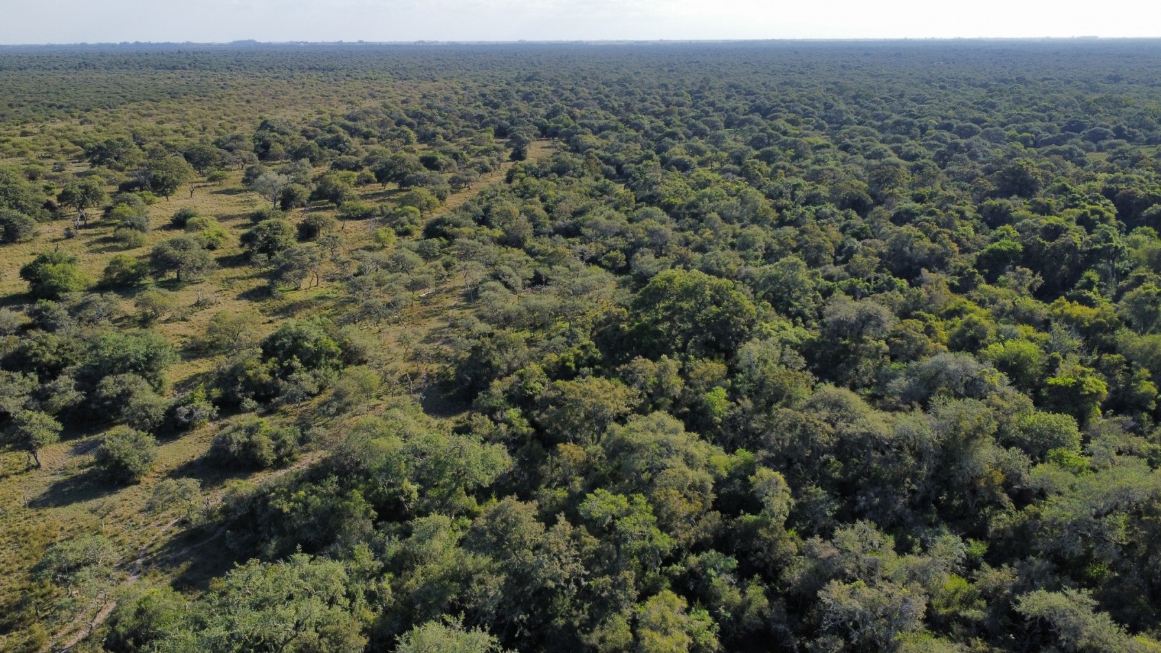 Campo en Venta - 130 Hectareas