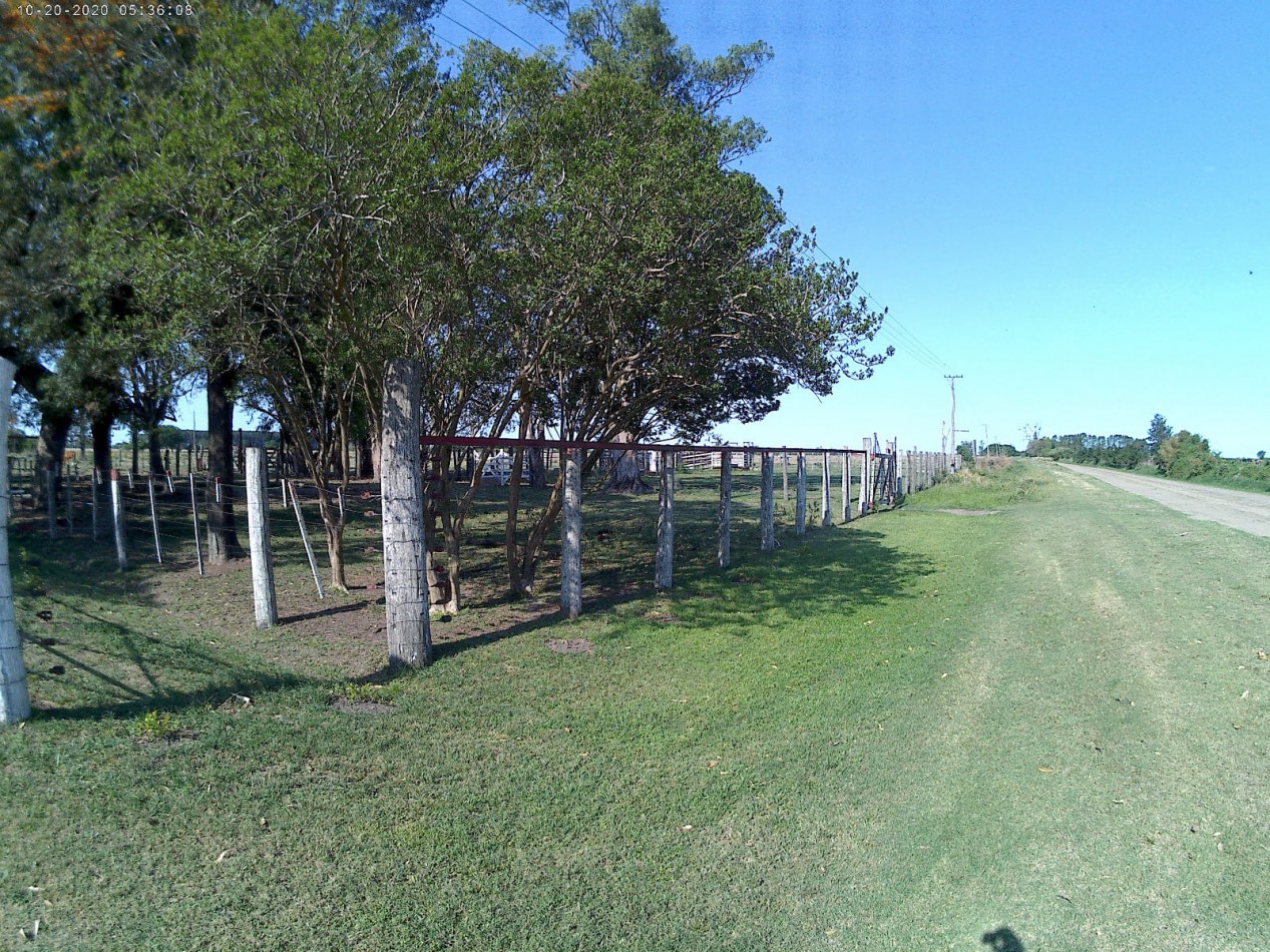 Campo Mixto en Venta - 35 Hectareas