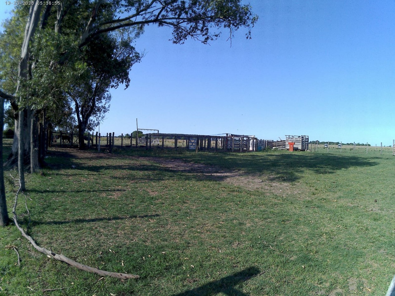 Campo Mixto en Venta - 35 Hectareas