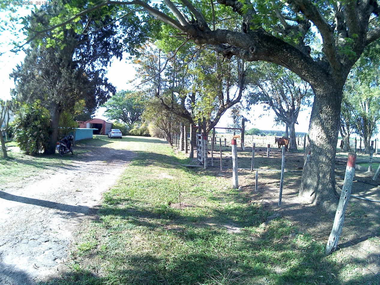 Campo Mixto en Venta - 35 Hectareas