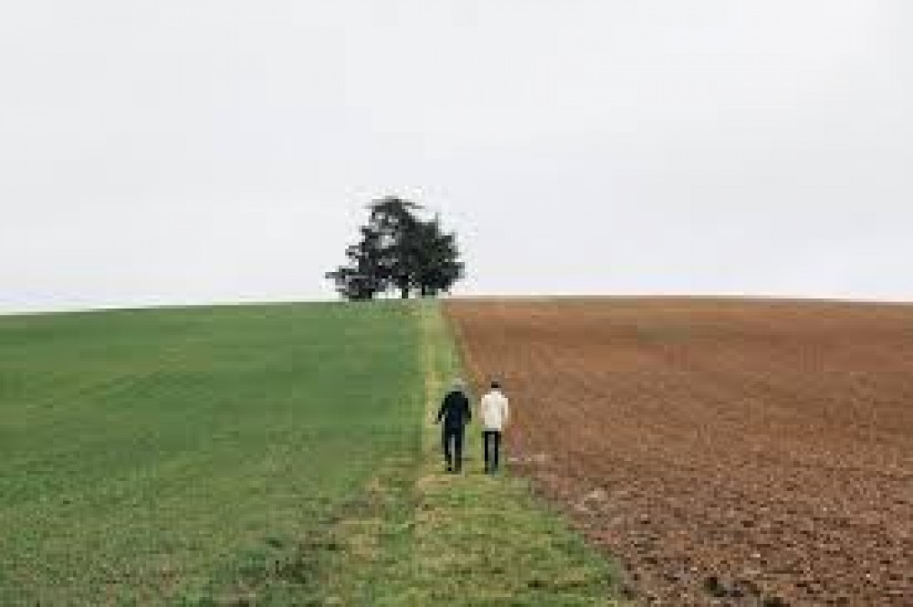 Por qué dos campos similares no valen lo mismo: claves de una tasación profesional.