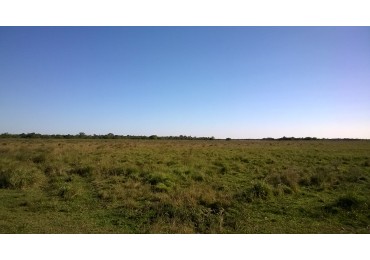 Campo Mixto 100 has en Venta en El Sombrerito, Santa Fe: Perfecto para Emprendimientos Ganaderos