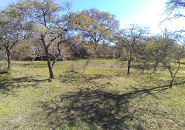 Campo en venta: 74 has ganaderas en La Sarita.