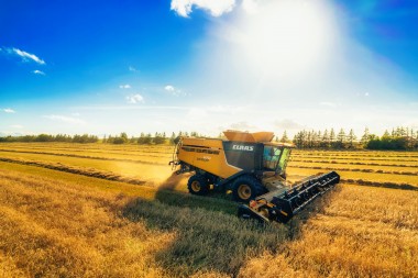 Explorando Oportunidades en el Mercado de Capitales en Argentina: Inversión en el Sector Agropecuario  al Alcance de Todos