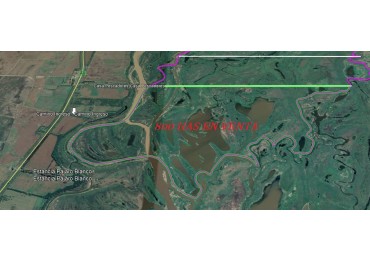 Campo en Venta: 800 hectareas ganaderas en Alejandra, Santa Fe.