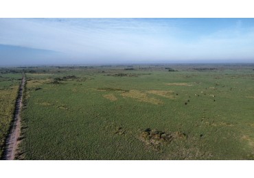 750 hectareas de campo en alquiler en Santiago del Estero