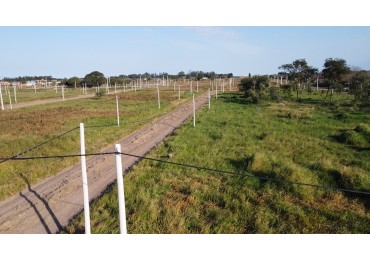 Terrenos en venta  en Reconquista: Loteo Los Ceibos